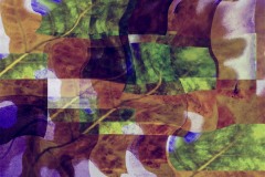 Oak-Leaf-MontageDecember-12-2023