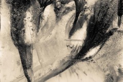 Nasturtium Ice Cube Ver 2