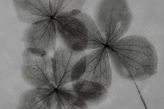 Winter-Hydranger-2023